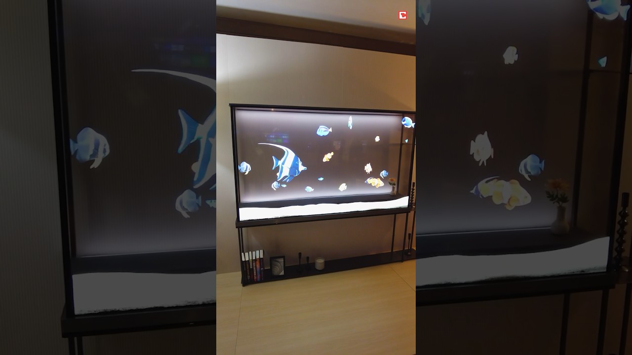 Lg Tv In Transparent – Ces 2024 Preview