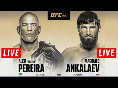 Alex Pereira vs Magomed Ankalaev Live Stream | UFC 313 Full Fight