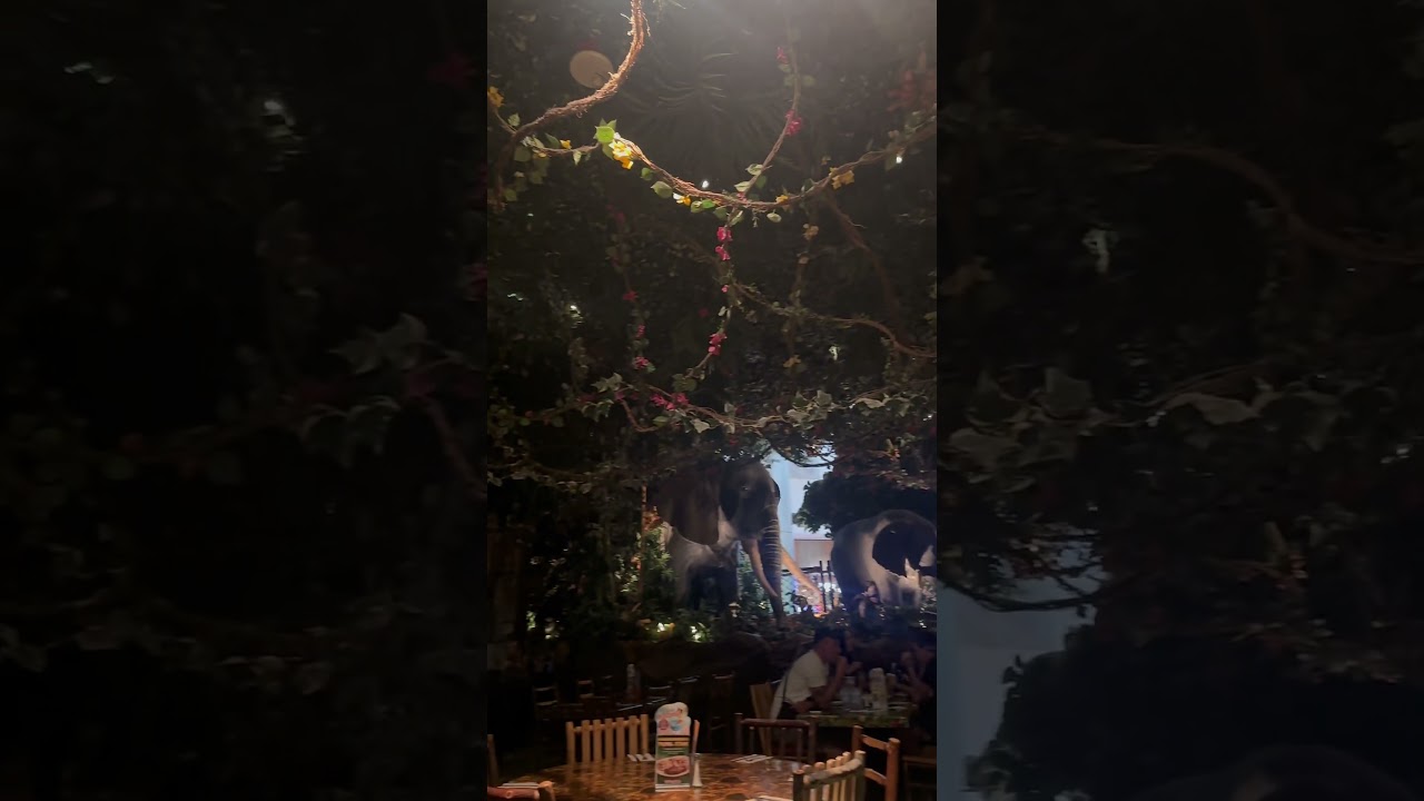 RainforestCafe Las Vegas | A Wild Dining Experience! #rainforestcafe  #LasVegasStrip #FamilyFriendly